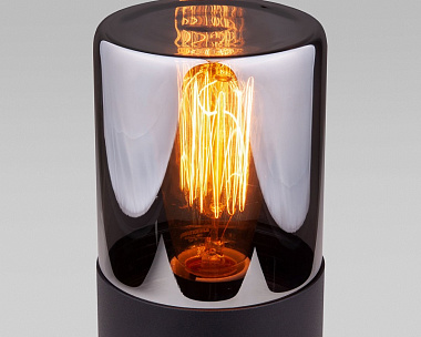 Уличный светильник Elektrostandard Roil IP54 35125/S чёрный/дымчатый плафон