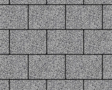 Тротуарная плитка Выбор Прямоугольник Б.1.П.8 300х200х80 мм Гранит Серый с черным