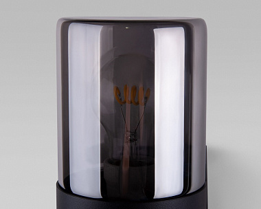Уличный светильник Elektrostandard Roil IP54 35125/D чёрный/дымчатый плафон