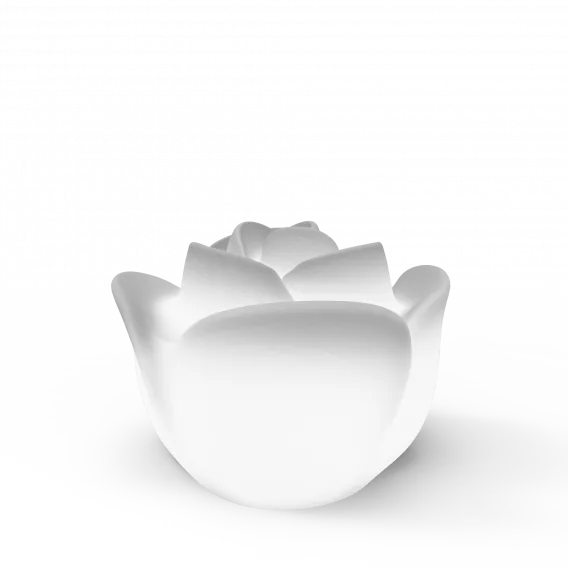 Светильник Berkano Rose Snow White Light фото 1