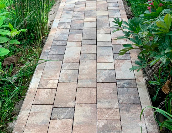 Тротуарная плитка Выбор Старый город Листопад 1Ф.6 60 мм Песчаник фото 3