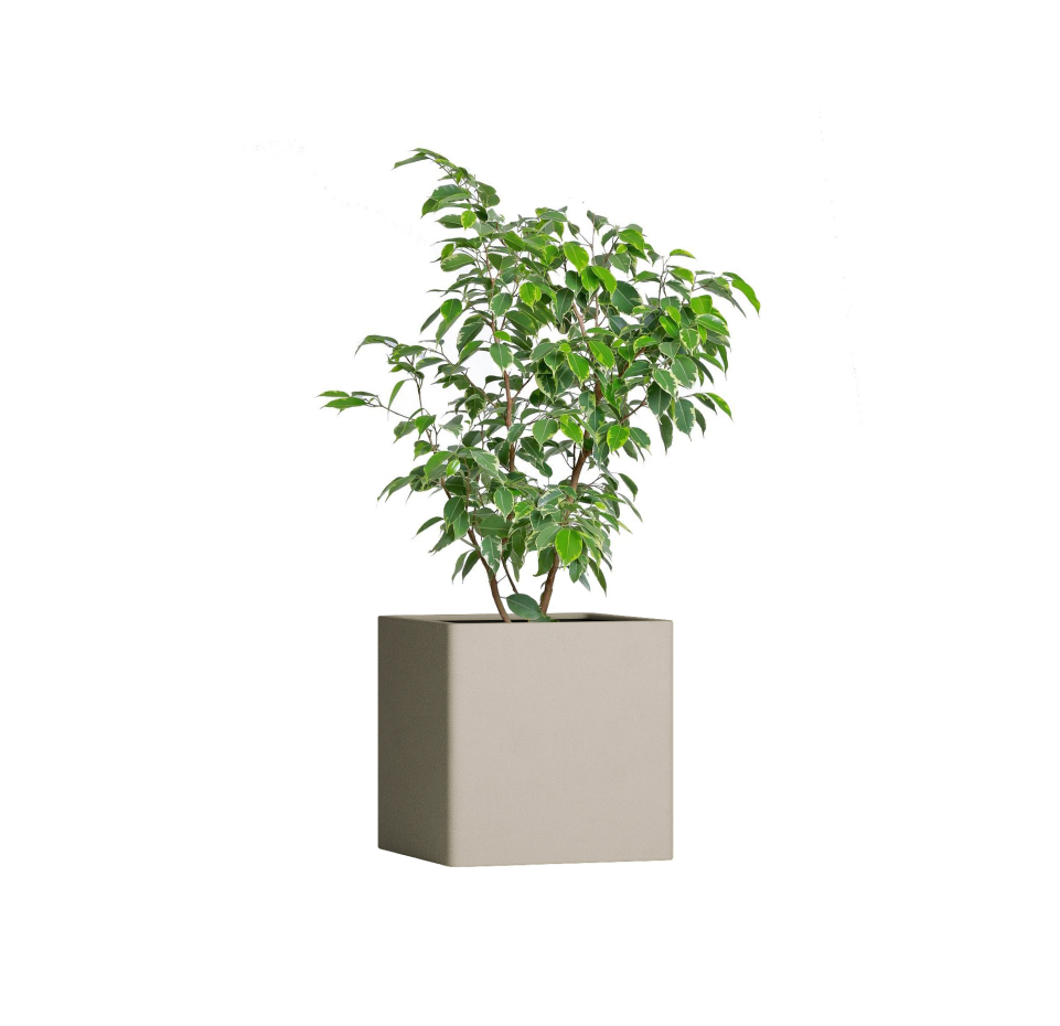 Кашпо TERRAFAKTURA Квадро 40x40x40 Дюна фото 1