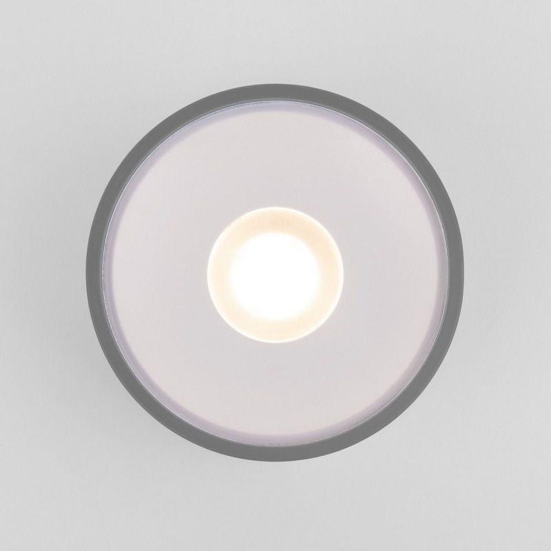 Уличный светильник Elektrostandard LIGHT LED IP65 35141/H серый фото 2