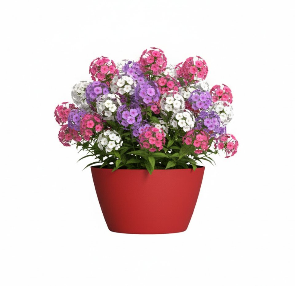 Кашпо Concretika Боул D80H45 Ред 3000 фото 6