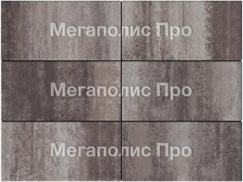 Тротуарная плитка Выбор Прямоугольник Б.5.П.10 600х300х100 мм Листопад Хаски фото 4