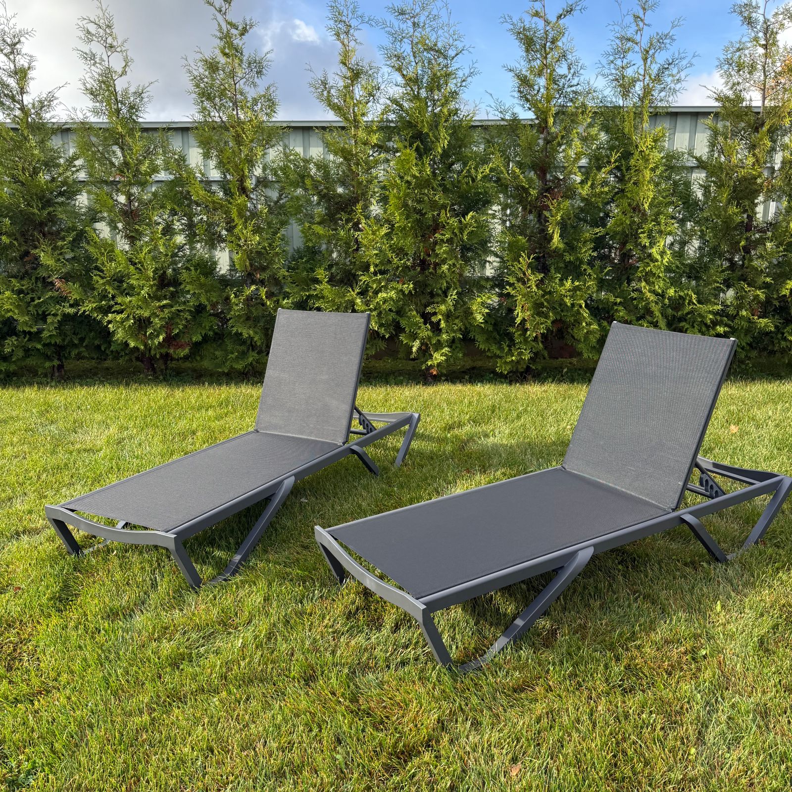 Комплект шезлонгов Enzo Royal Family из алюминия черный фото 1