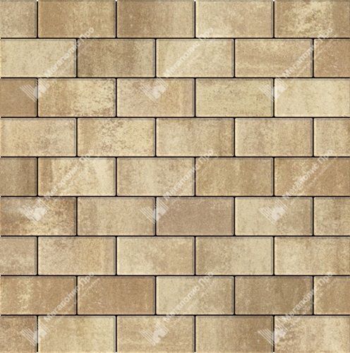 Брусчатка Braer Прямоугольник ColorMix 200х100х60мм цвет Миндаль фото 1