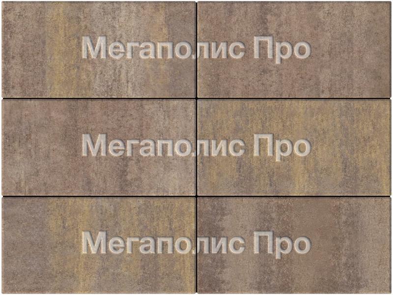 Тротуарная плитка Выбор Прямоугольник Б.5.П.8 600х300х80 мм Искусственный камень Плитняк фото 4