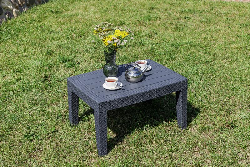 Обеденный комплект Lana S Royal Family из пластика, цвет графит фото 6