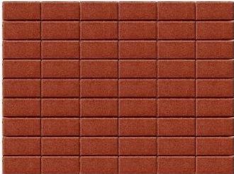 Брусчатка Прямоугольник 200х100х40 мм - Braer красный