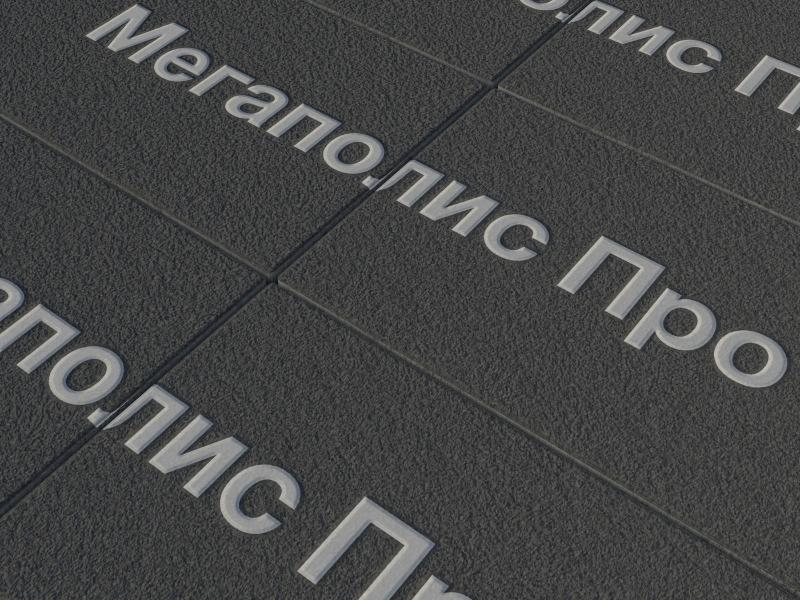 Тротуарная плитка Выбор Прямоугольник Б.5.П.8 600х300х80 мм Черный Гранит фото 2
