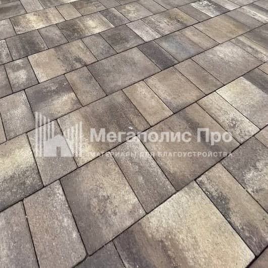 Тротуарная плитка Выбор Старый город Листопад А.1.Фсм.4 40 мм. Хаски фото 1