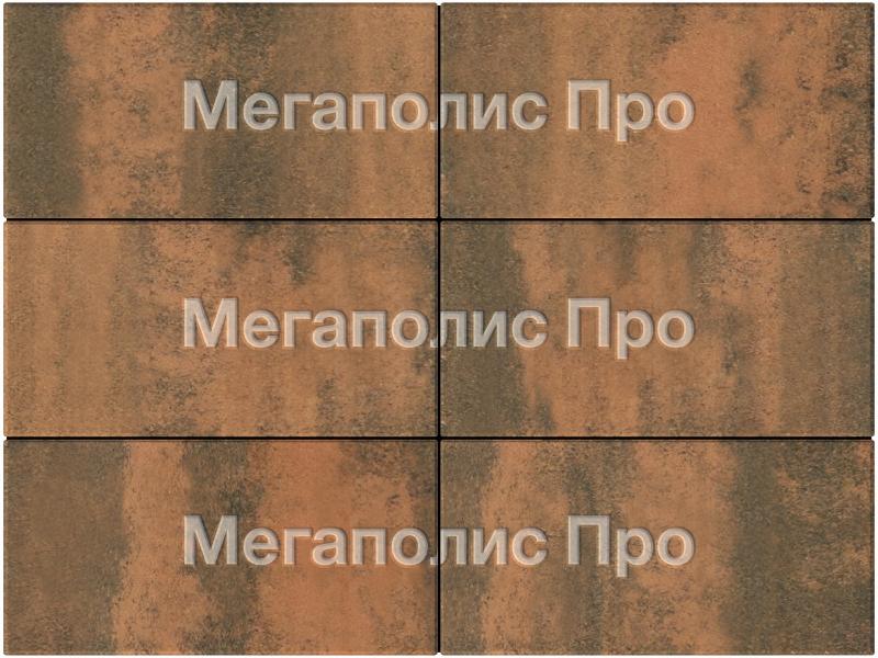 Тротуарная плитка Выбор Прямоугольник Б.5.П.10 600х300х100 мм Листопад Мустанг фото 4