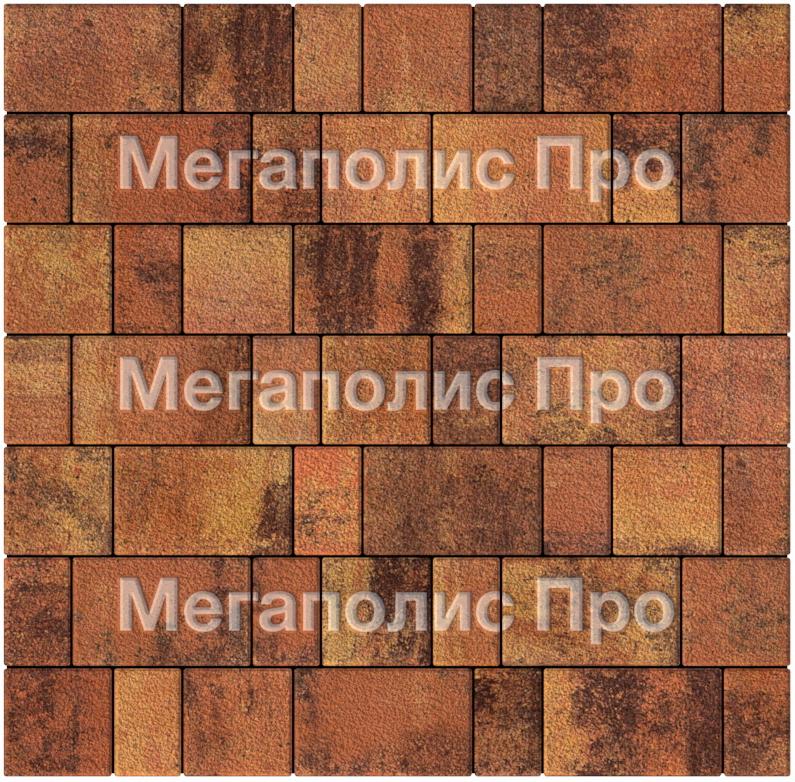 Тротуарная плитка Выбор Старый город Листопад А.1.Фсм.4 40 мм. Саванна Гранит фото 3