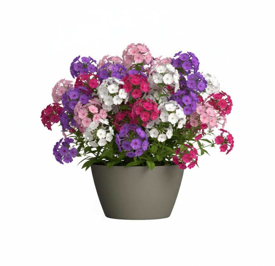 Кашпо Concretika Боул D80H45 Грине 7006 фото 6