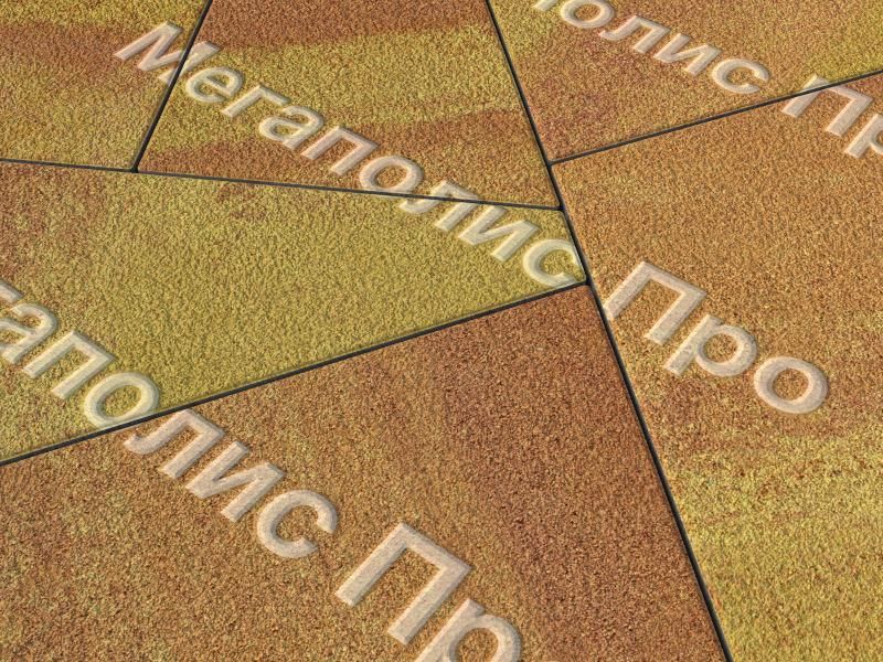 Тротуарная плитка Выбор Оригами Б.4.Фсм.8 80 мм Листопад Гранит Каир фото 1