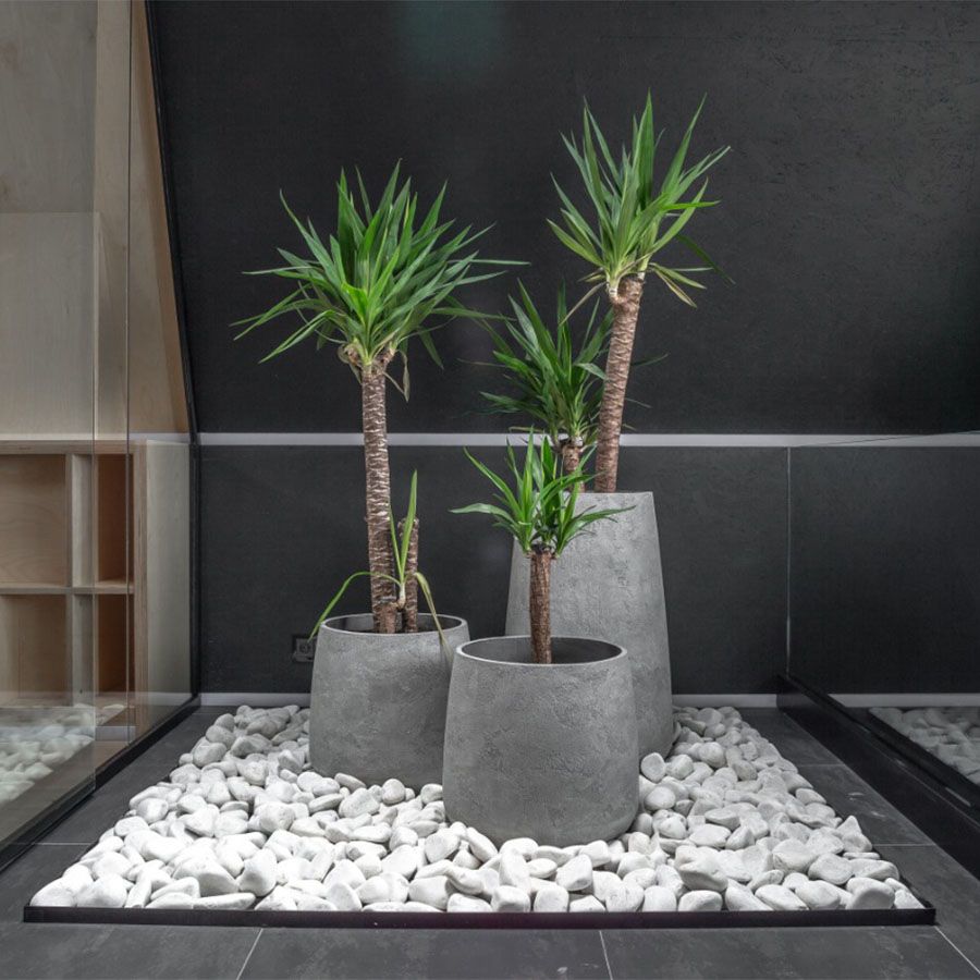 Кашпо Concretika Овал D30 H41 Concrete M100 фото 3