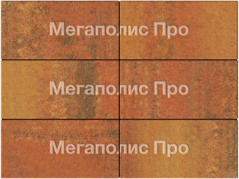 Тротуарная плитка Выбор Прямоугольник Б.5.П.8 600х300х80 мм Листопад Арабская ночь фото 4