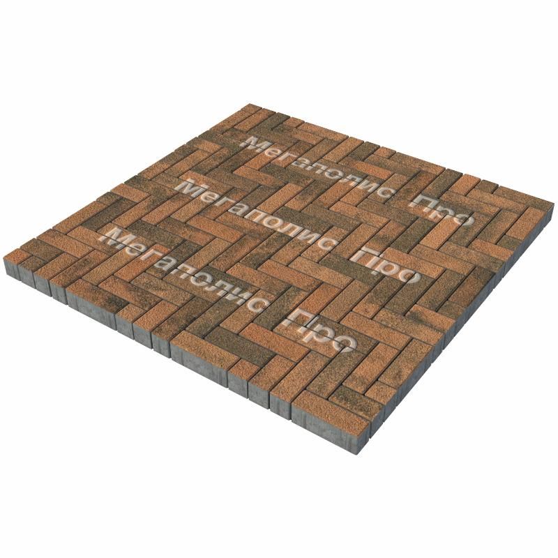 Тротуарная плитка Выбор Паркет Б.4.П.6 Листопад Гранит Мустанг фото 2