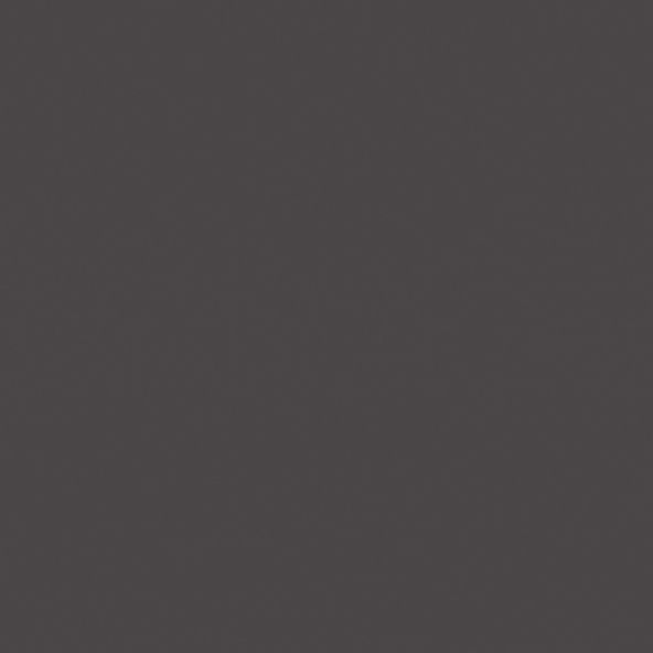 Керамогранитная плитка Estima RW034 60x60 см неполированный фото 1