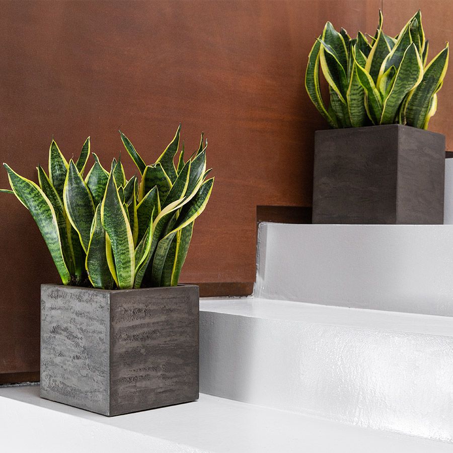 Кашпо Concretika Balcony 40x15x15 Брезент грей фото 4