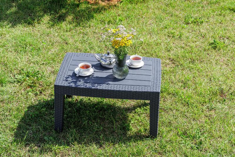 Лаунж стол Lana Royal Family из пластика, цвет графит фото 1