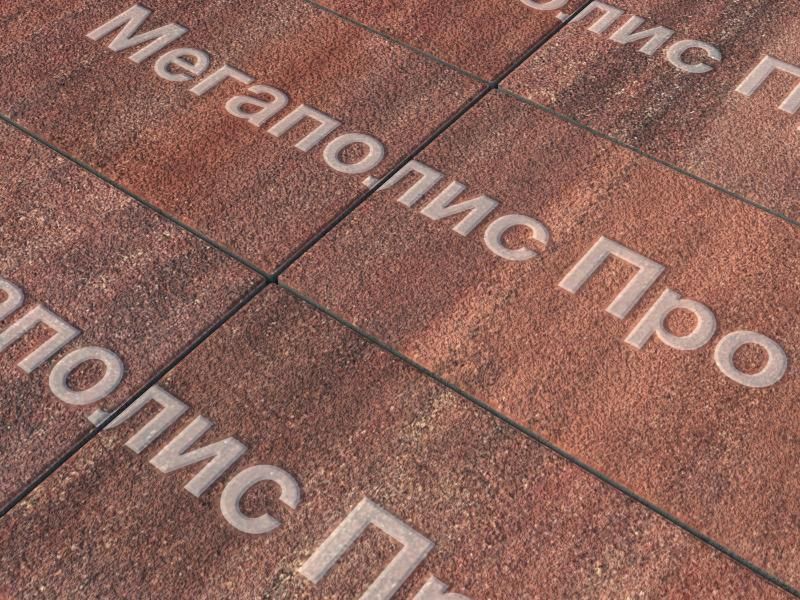 Тротуарная плитка Выбор Прямоугольник Б.5.П.8 600х300х80 мм Листопад Гранит Барселона фото 2