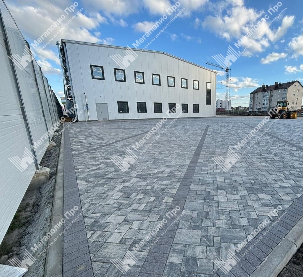 Тротуарная плитка 342 Механический завод Бавария ColorMix 60мм Арктика фото 7