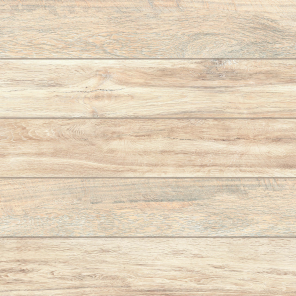 Керамогранитная плитка Estima BGm00 60x60 см неполированный фото 1