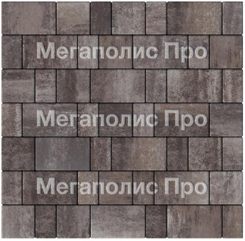 Тротуарная плитка Выбор Старый город Листопад А.1.Фсм.4 40 мм. Хаски фото 4
