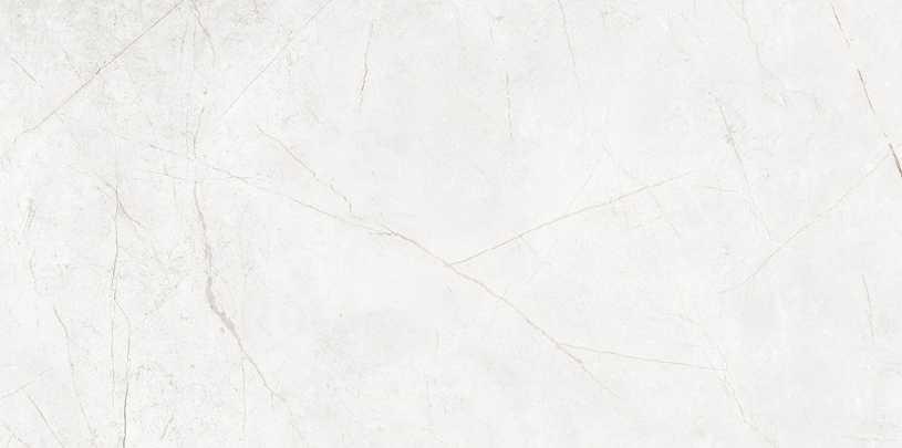 Керамогранитная плитка Estima NL00 120x60 см неполированный фото 1