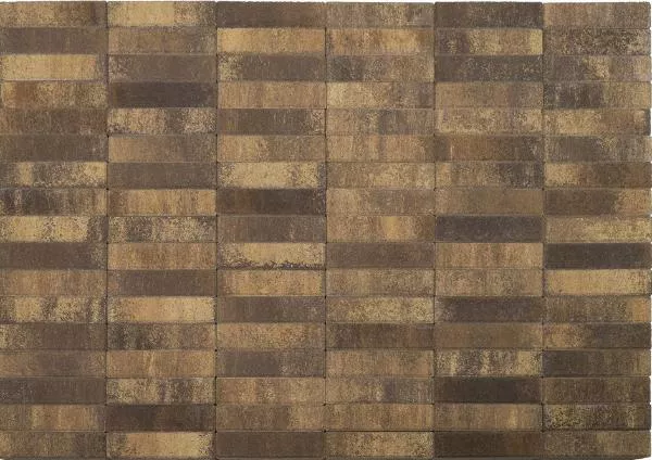 Тротуарная плитка Braer Прямоугольник ColorMix 200х50х60 мм Каштан фото 4
