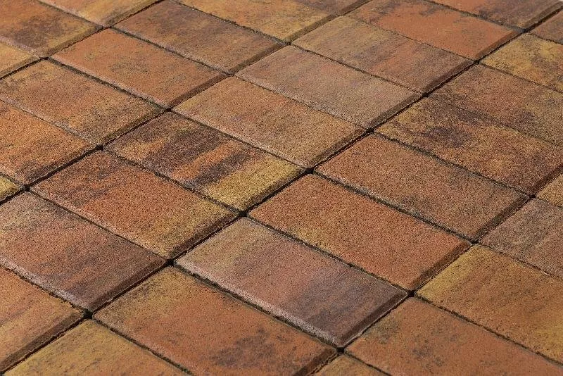 Брусчатка Braer Прямоугольник (кирпич) ColorMix 200х100х60 мм Прайд фото 3