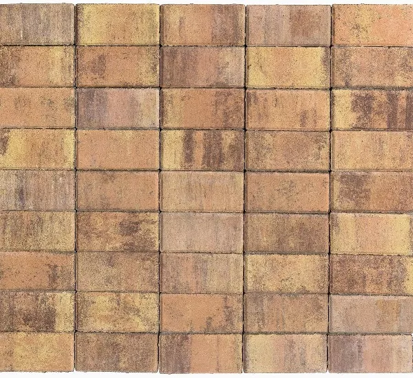 Брусчатка Braer Прямоугольник (кирпич) ColorMix 200х100х40 мм Прайд фото 1