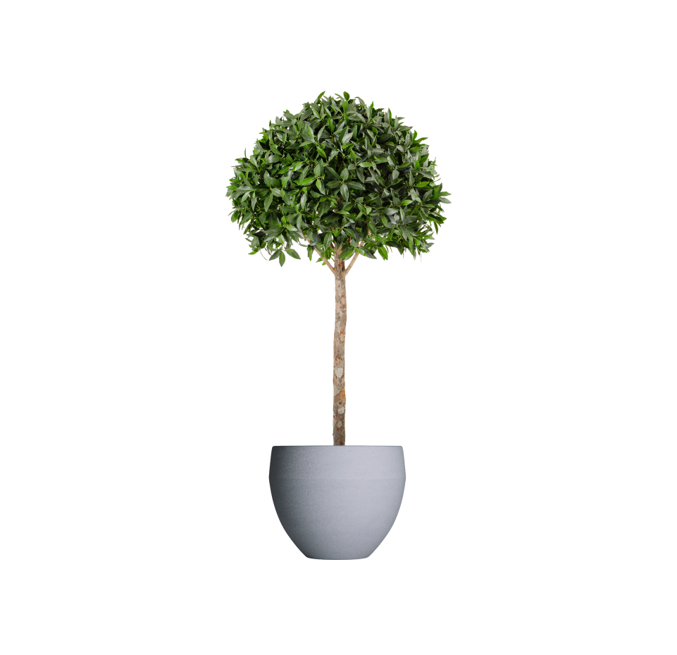 Кашпо TERRAFAKTURA Гира D70x60 Арктик Грей фото 1