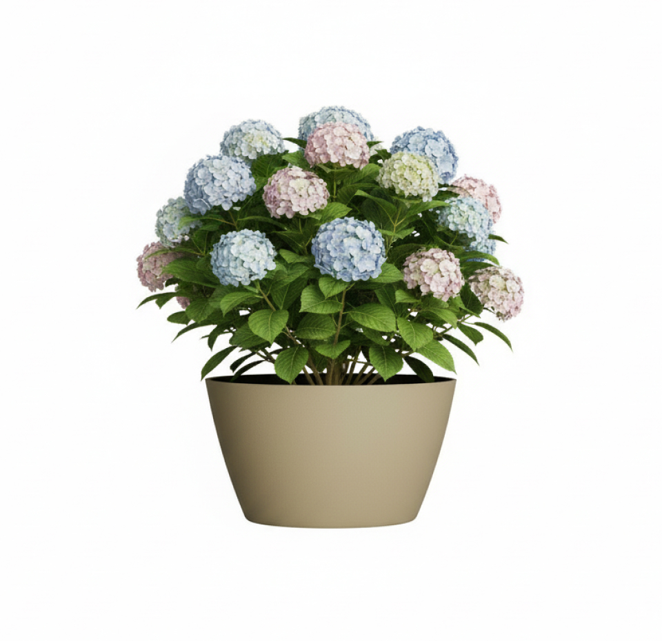 Кашпо Concretika Боул D80H45 Имбирный 1019 фото 6