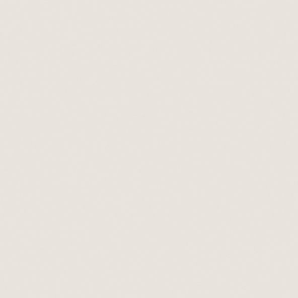 Керамогранитная плитка Estima RW01 80x80 см неполированный фото 1