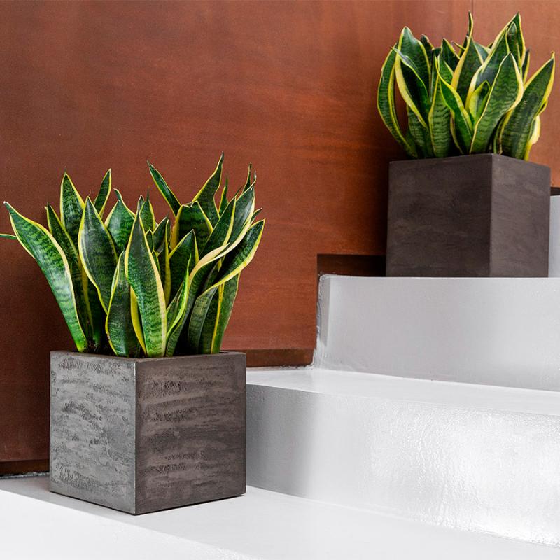 Кашпо Concretika Боул D80 H45 Брезент грей фото 3