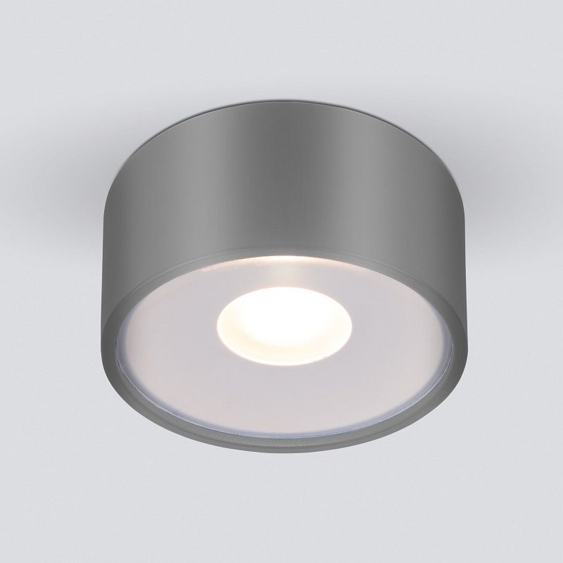 Уличный светильник Elektrostandard LIGHT LED IP65 35141/H серый фото 1