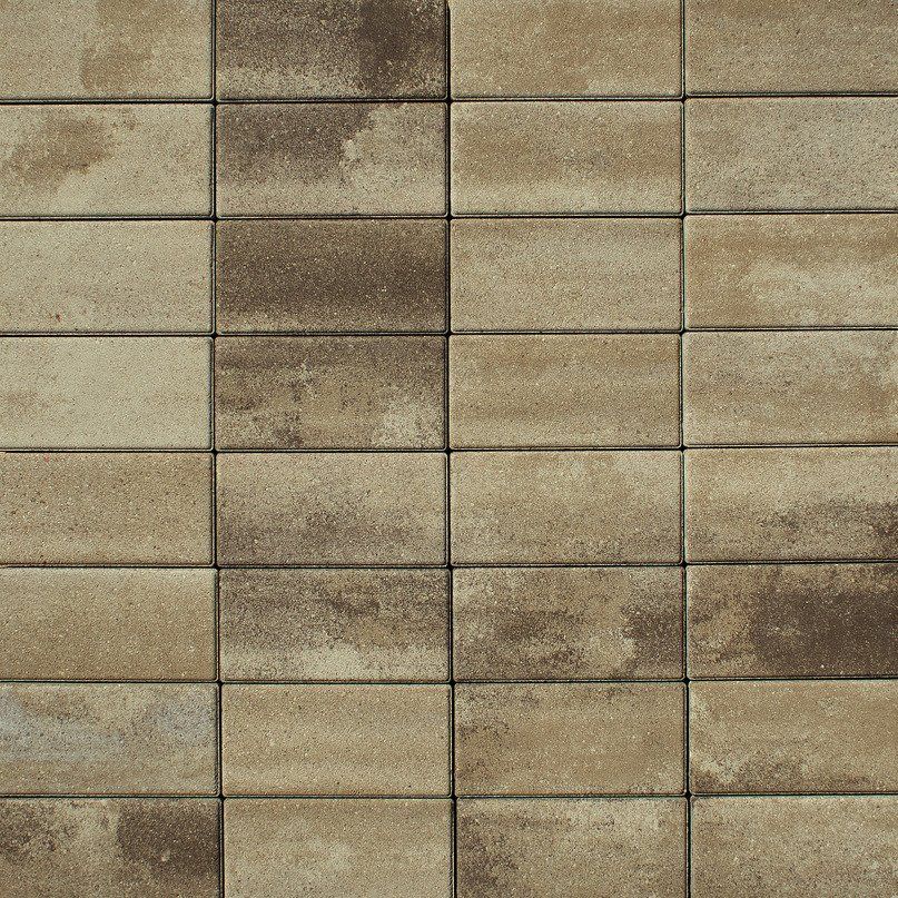 Брусчатка Прямоугольник Листопад 2.П.4 40 мм. Хаски фото 1