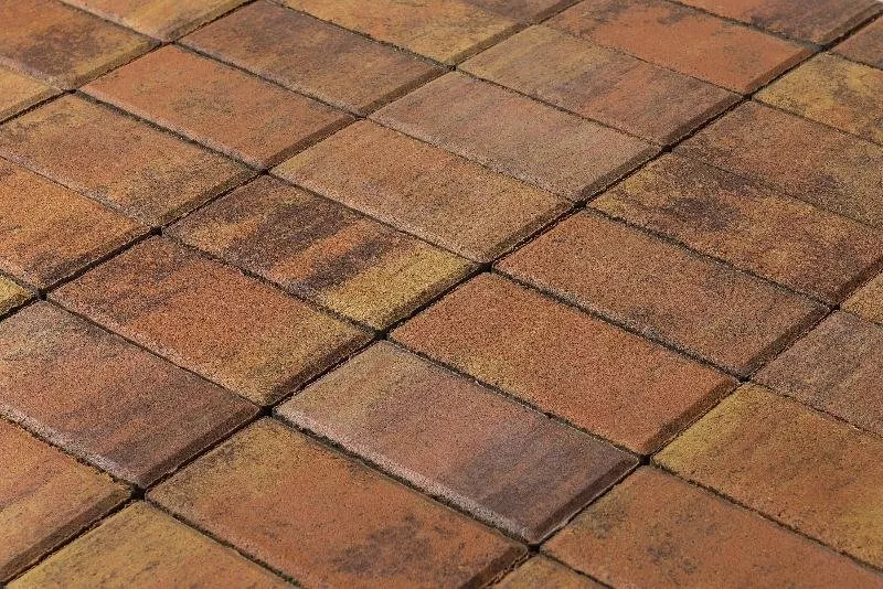 Брусчатка Braer Прямоугольник (кирпич) ColorMix 200х100х40 мм Прайд фото 3