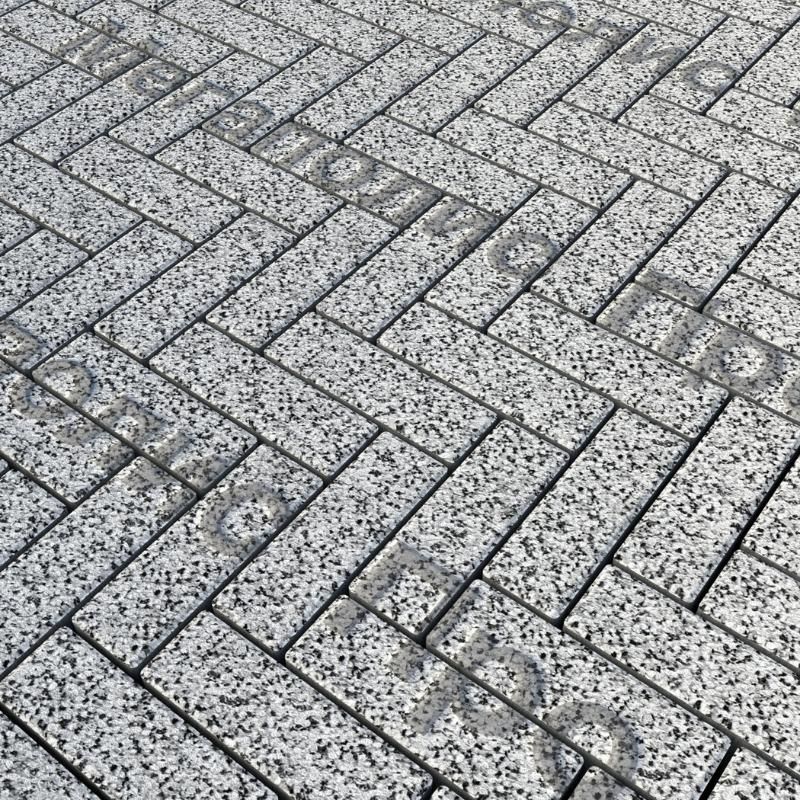 Тротуарная плитка Выбор Паркет Б.4.П.6 Стоунмикс Белый с черным фото 1