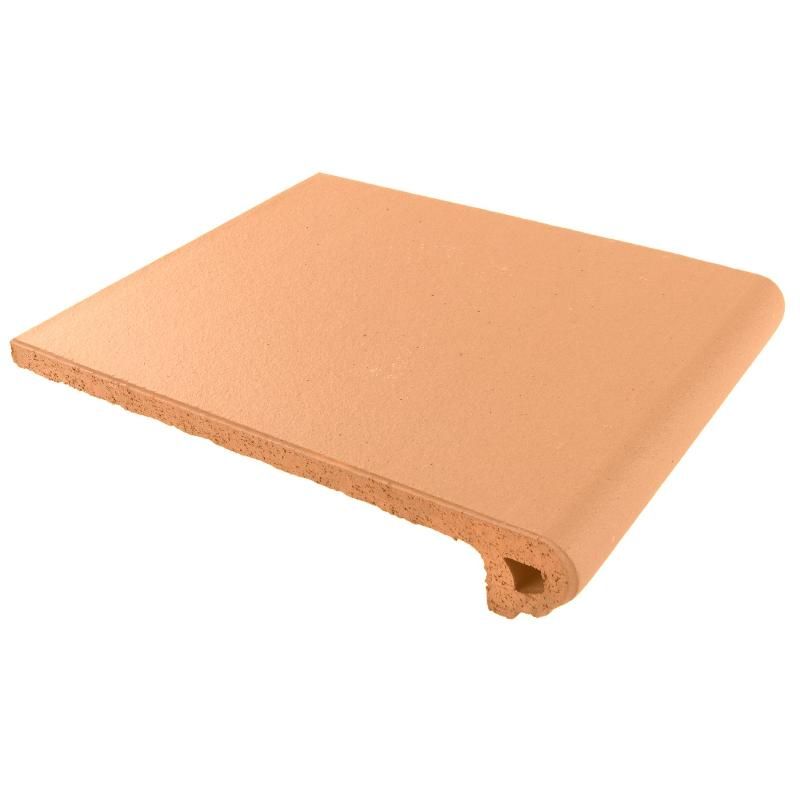 Ступень фронтальная CANADA GRES Natura 016 Terra 244x330 мм R11 фото 1