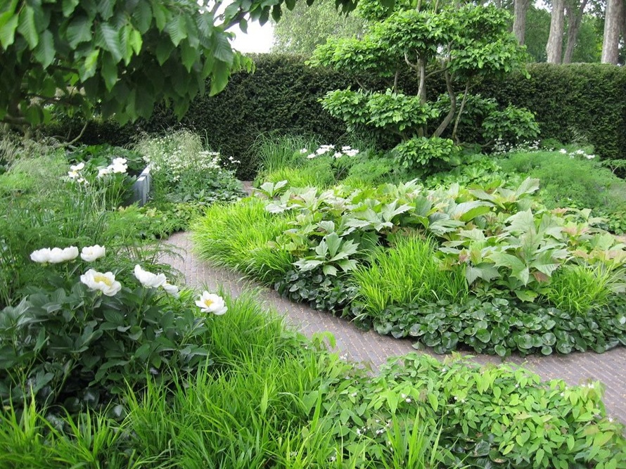 Без имени14.jpg