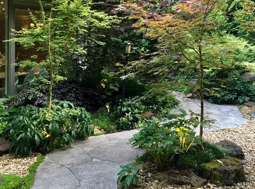 Без имени12.jpg