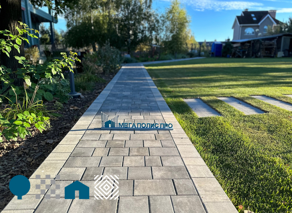 Frame 277132630 (7).jpg