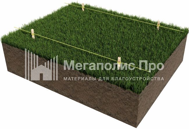1 - 1 (2).jpg