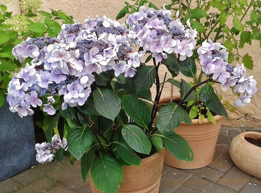 scale_1200.jpg