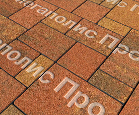 Тротуарная плитка Выбор Мюнхен Б.2. Фсм.6 60 мм Листопад гранит Арабская ночь