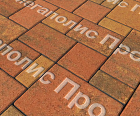 Тротуарная плитка Выбор Мюнхен Б.2. Фсм.6 60 мм Листопад Арабская ночь